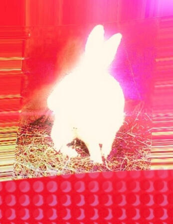 Two Sentence Horror Zine